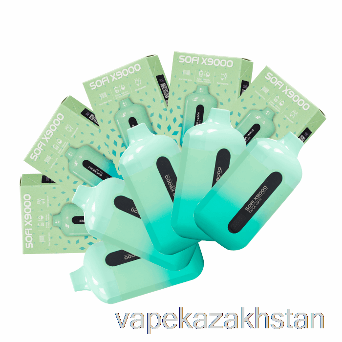 Vape Smoke [10-Pack] SOFI X9000 Smart Disposable